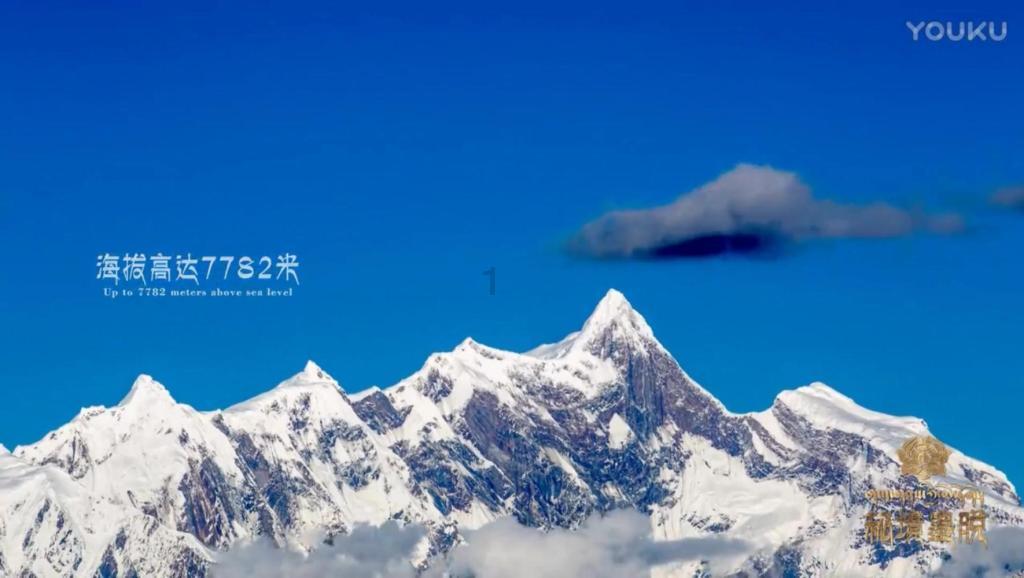 引球进框
