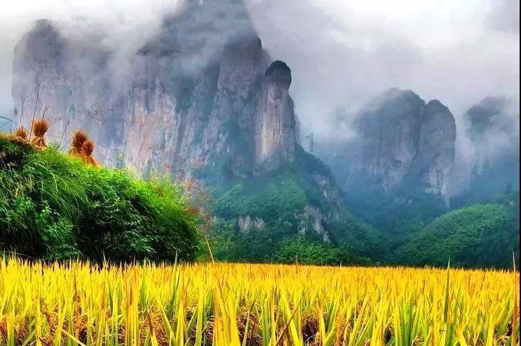 棕榈油震荡偏弱,春节备货需求进入尾声,需求逐渐转淡