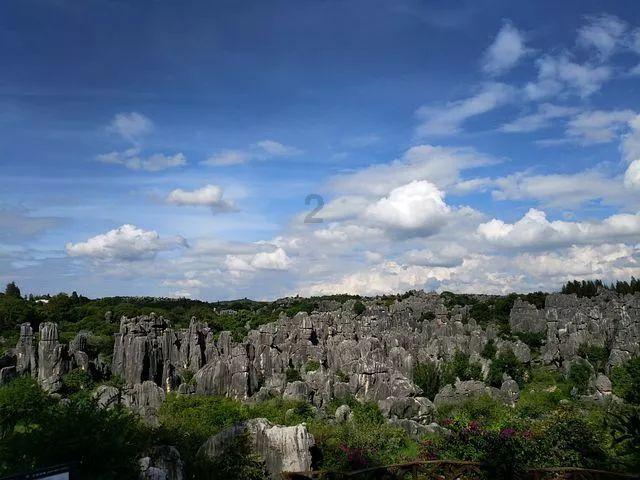 僵尸敲方块