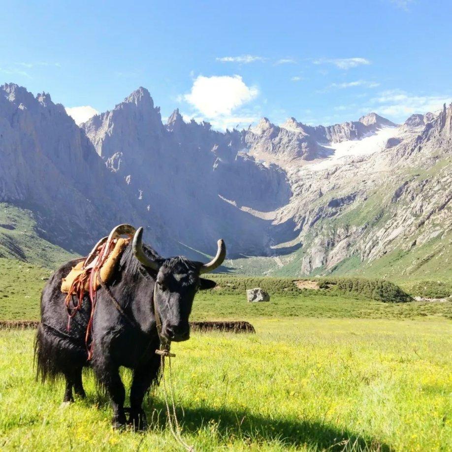 精灵的冒险之旅