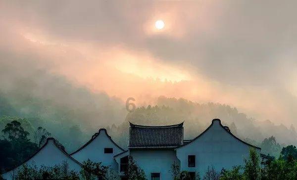 冰城小哥“捡”了两个“小金豆”回家,五天后,他破防了……