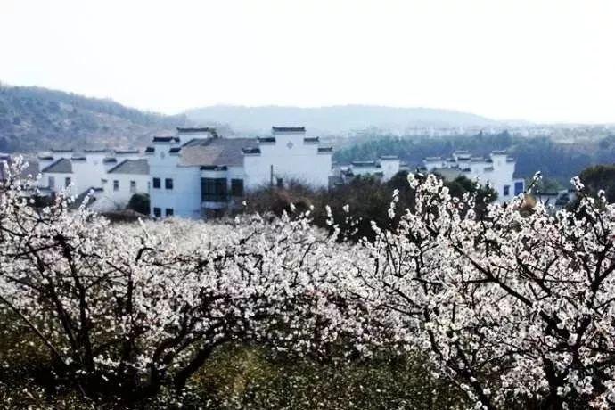 热血NBA万圣节篇