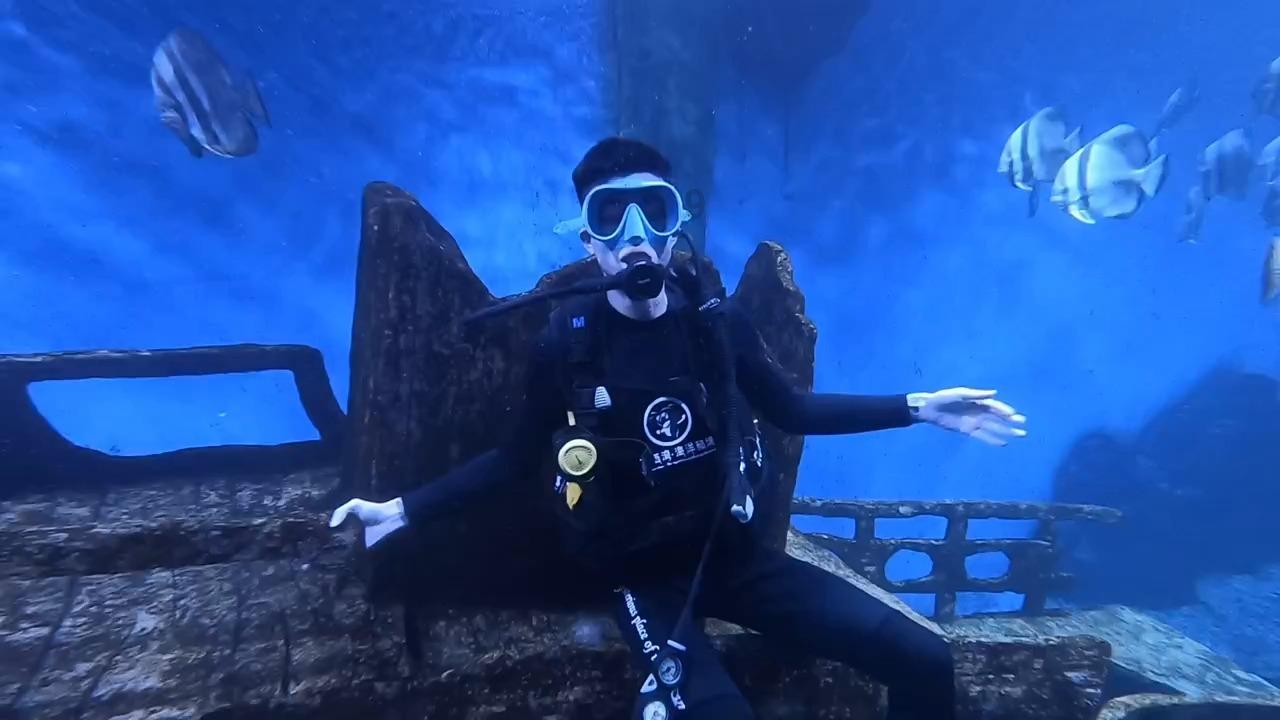 虫虫助手下载