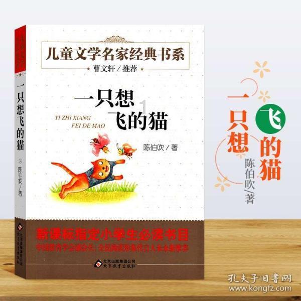 绘制像素图
