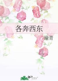 蓝狐视频