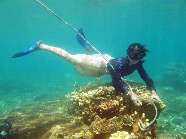 中美利好、红海难平,“供需双击”下油价大涨