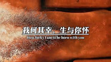 华为 P70系列再曝：1.5K等深微四曲屏 影像新升级