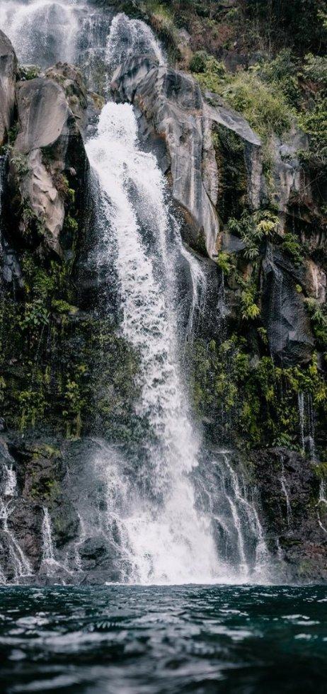 意想不到的旅程