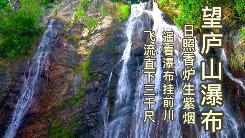 春雨直播app
