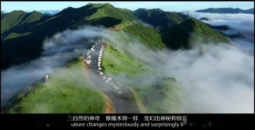 苏菲亚和安伯的休闲装