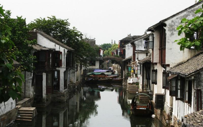 救援萌老虎