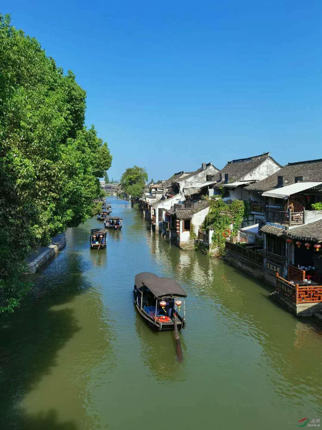 被困在殿堂的学生